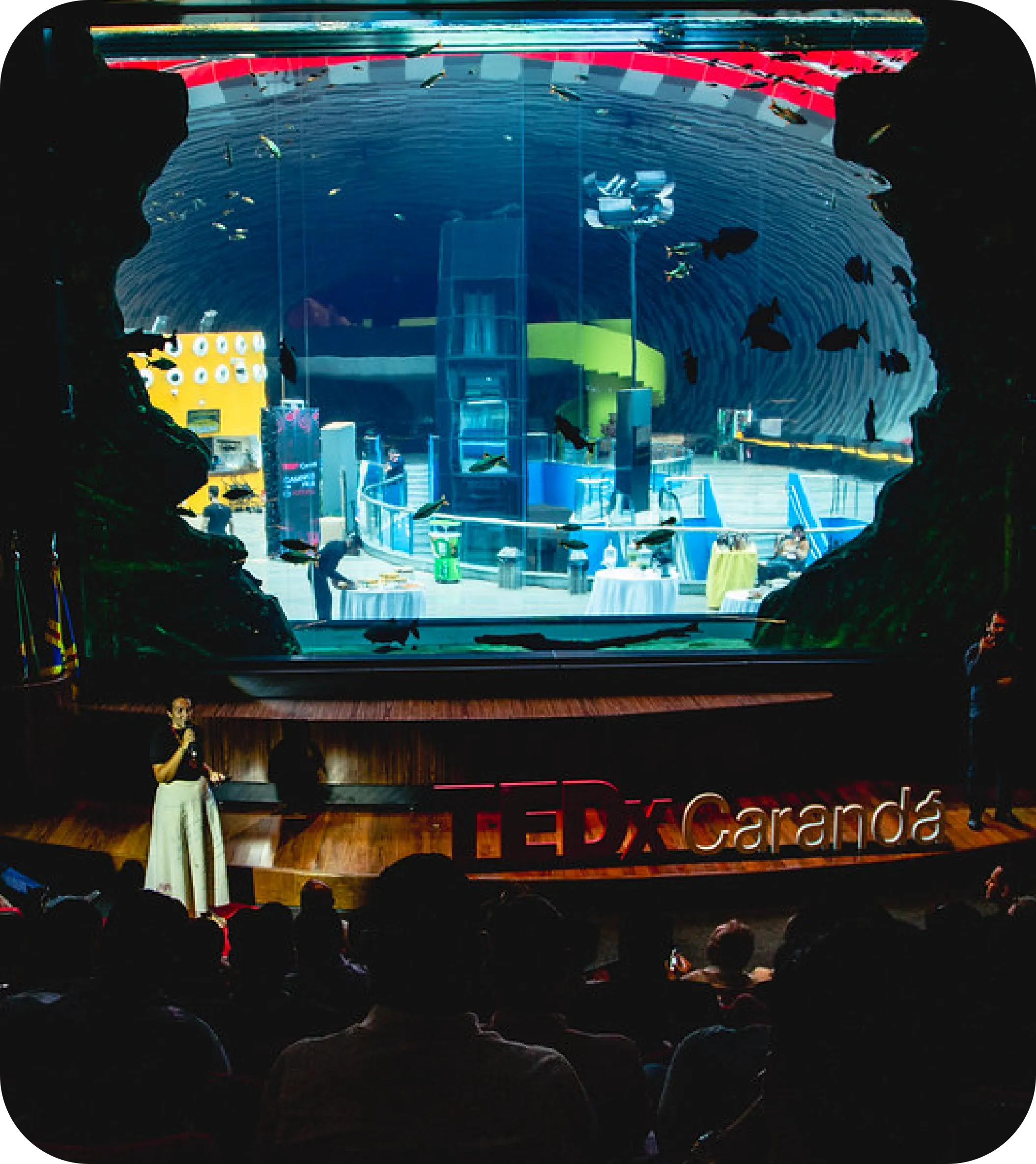 Palco TEDxCarandá com aquário ao fundo